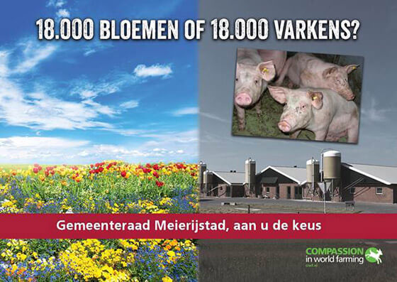 ciwf bloemen