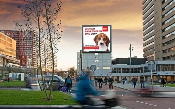 Wereldproefdierendag