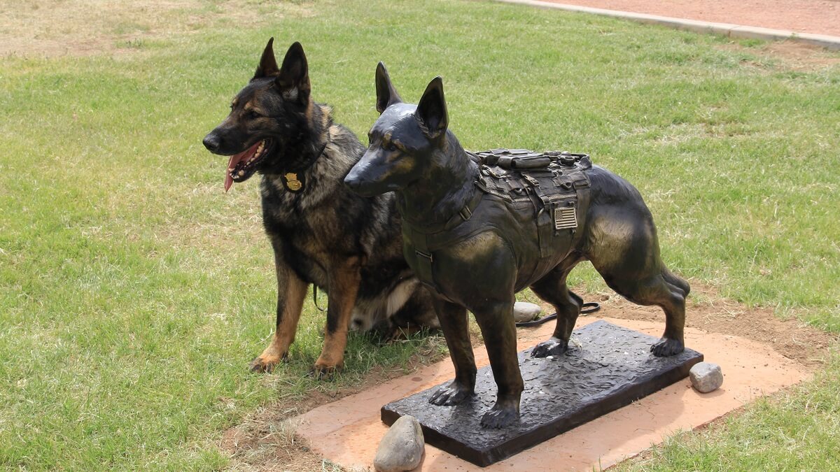 standbeeld voor een hond