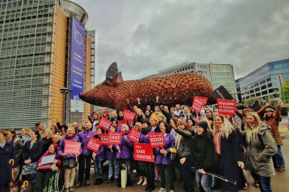 Europees burgerinitiatief Stop de kooien