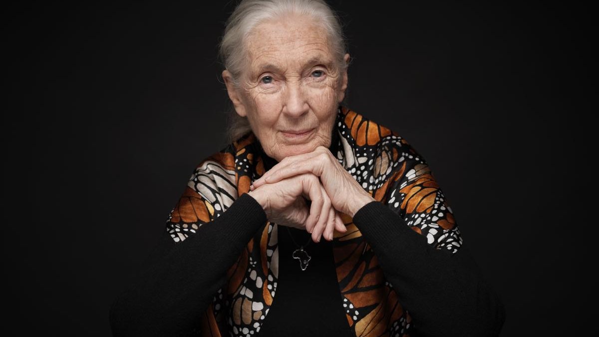 jane-goodall