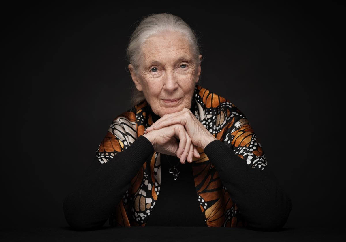 jane-goodall