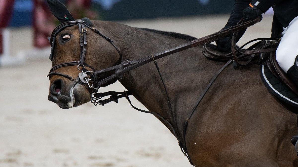 structureel paardenleed Jumping Amsterdam