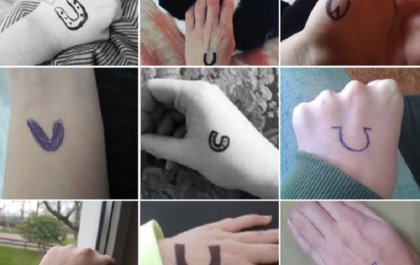 Selfie-actie om de konikpaarden op Texel te redden