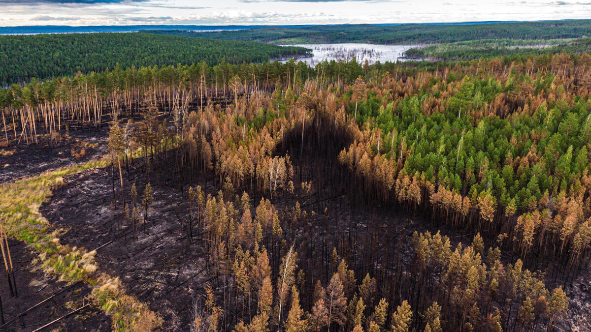 Bosbranden Siberië (regio Krasnojarsk) door klimaatverandering - juli 2020 | Foto: ©Julia Petrenko/Greenpeace