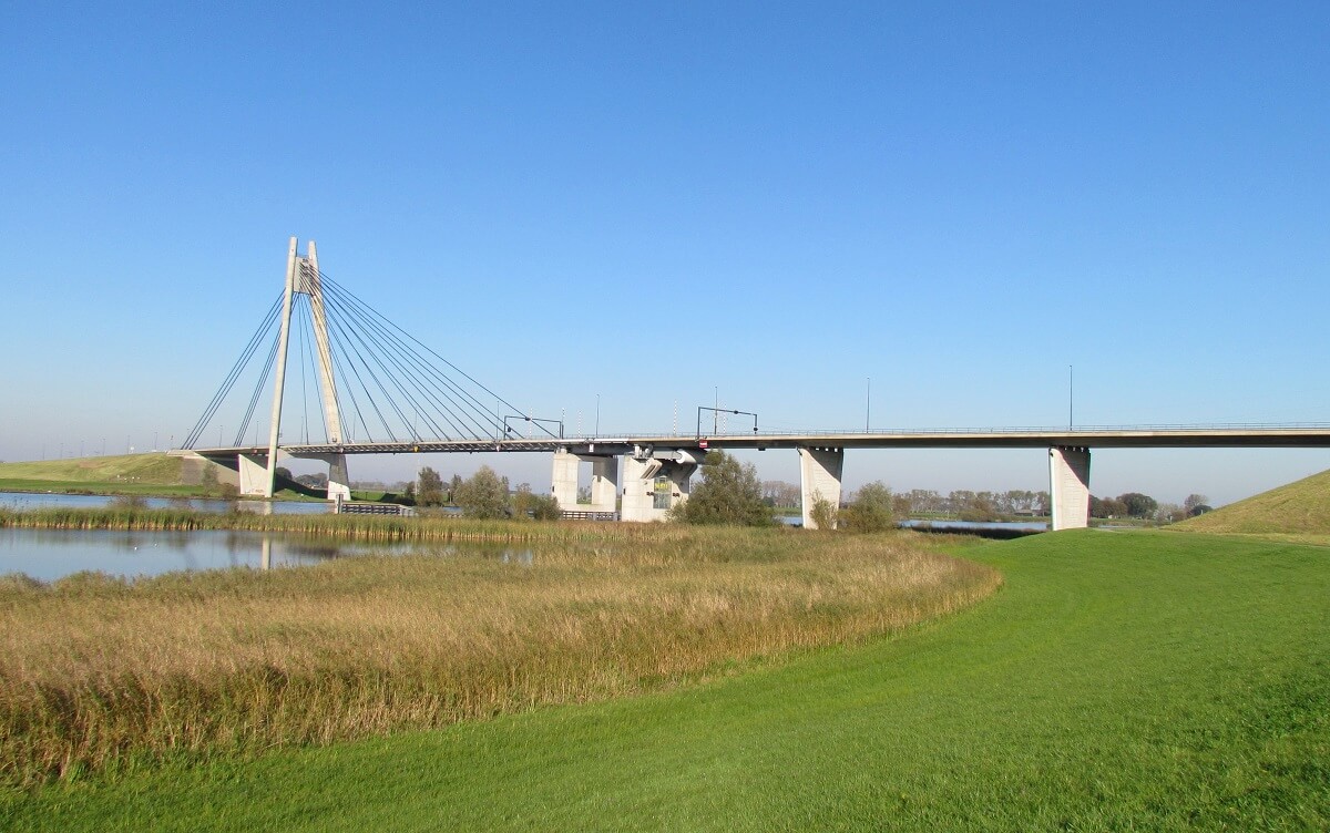 hond zonder voorpoten