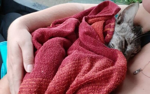 Levi slachtoffer strop Ritthem