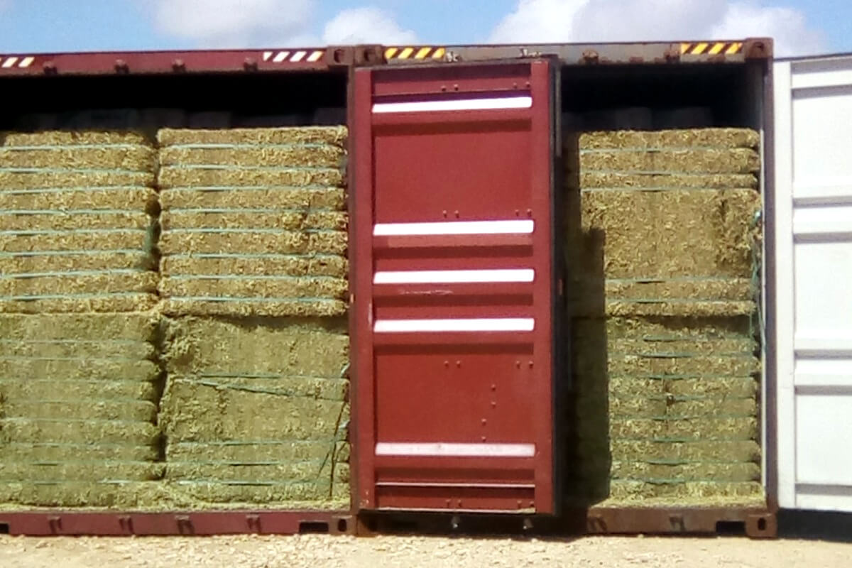 hooi voor hongerige ezels