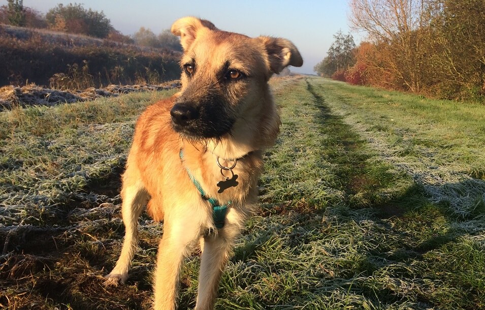 Jordan, de documentaire