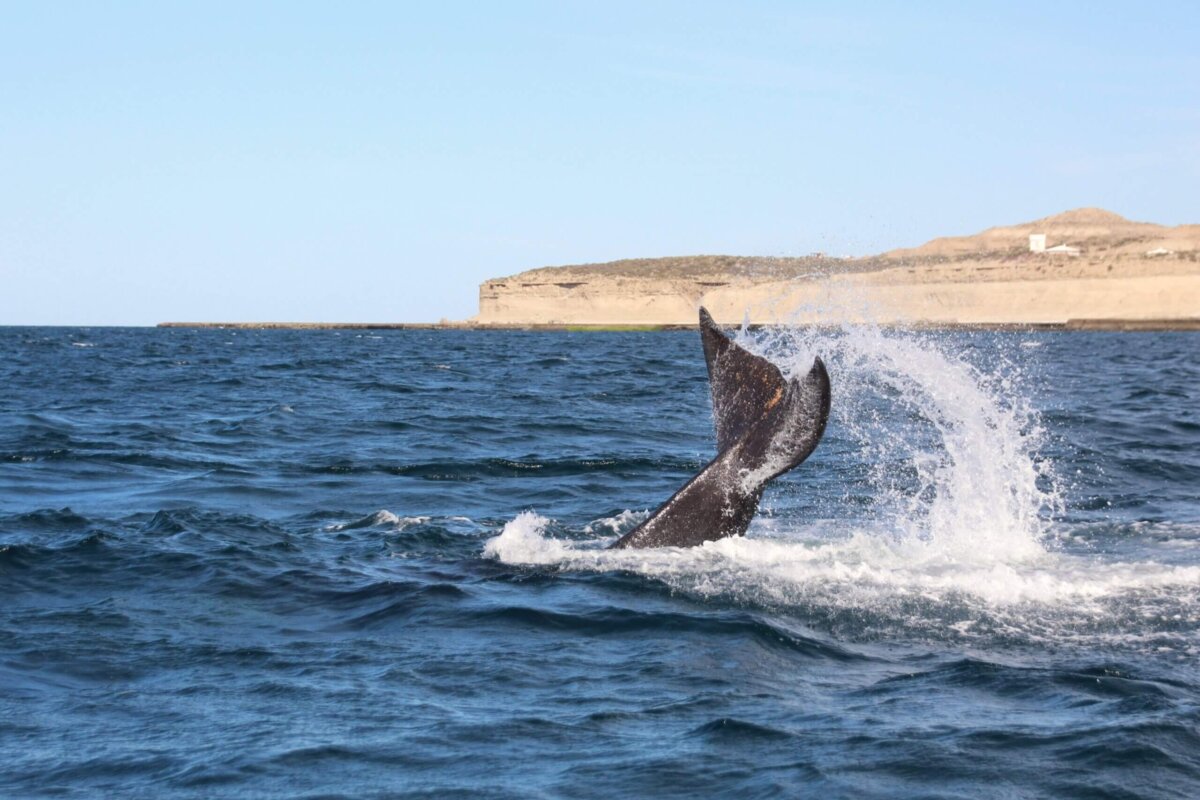 goedkeuring olie-exploratie
