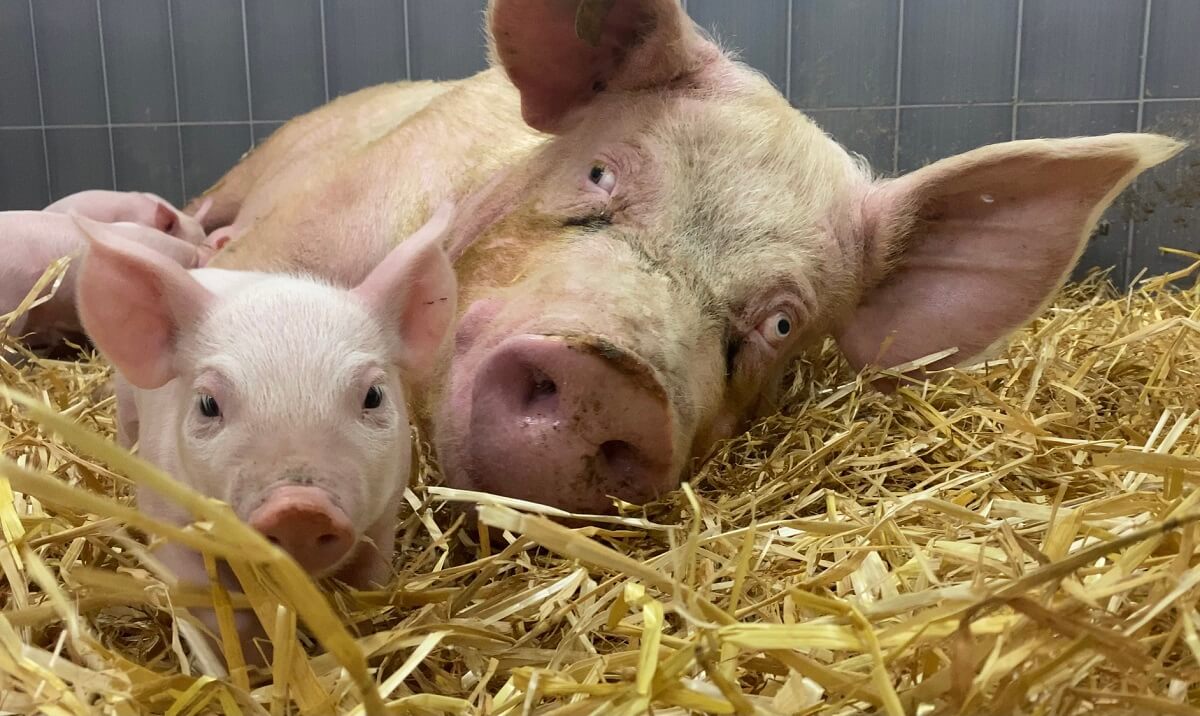 Sam en een van haar kinderen