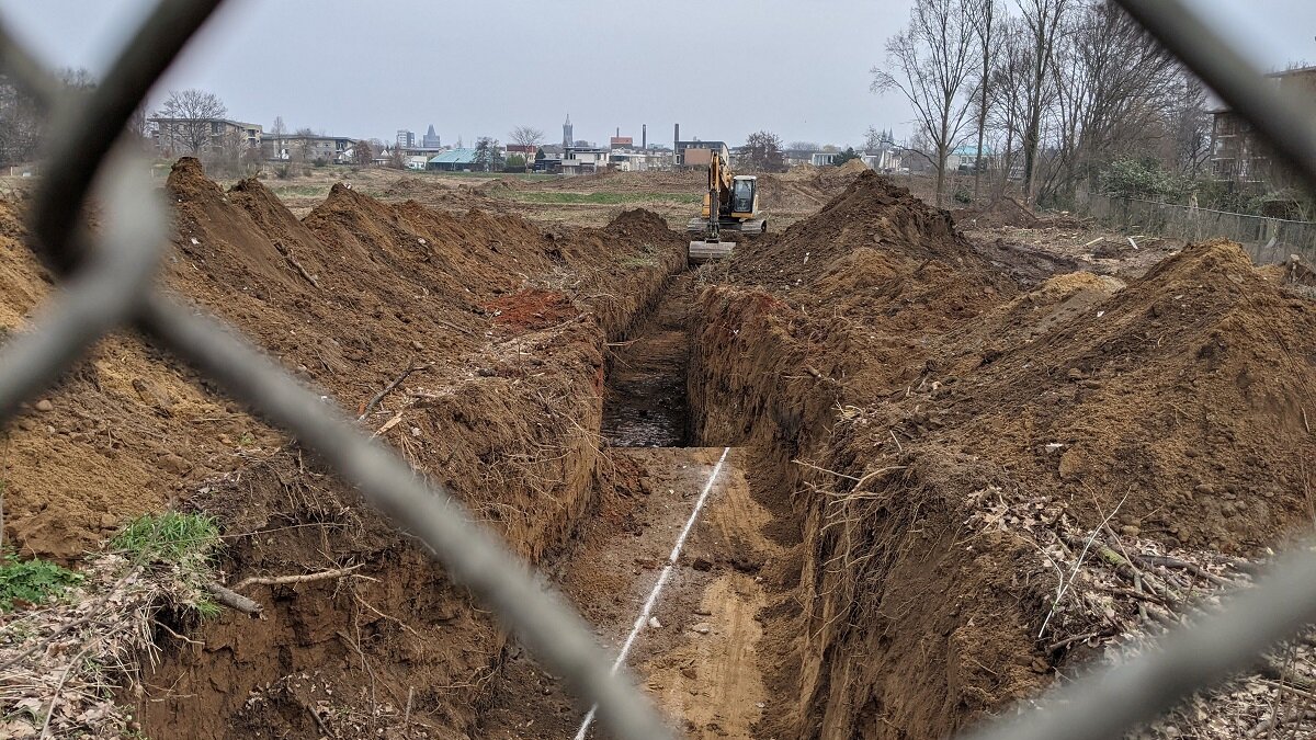 Dieren doodgedrukt of verstikt in Roermondse dassenkwestie