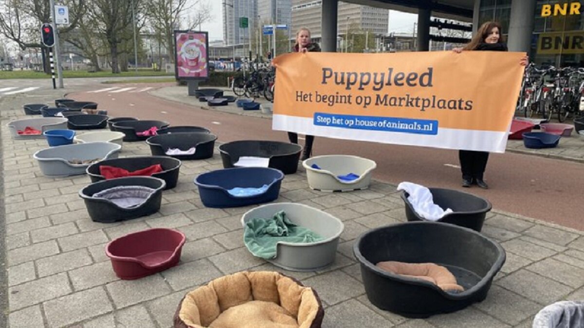 Marktplaats