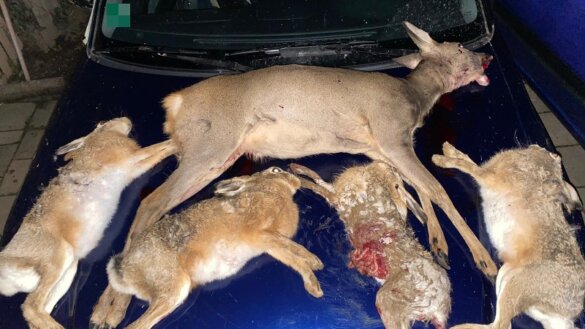 Stroper uit Heerlen opgepakt