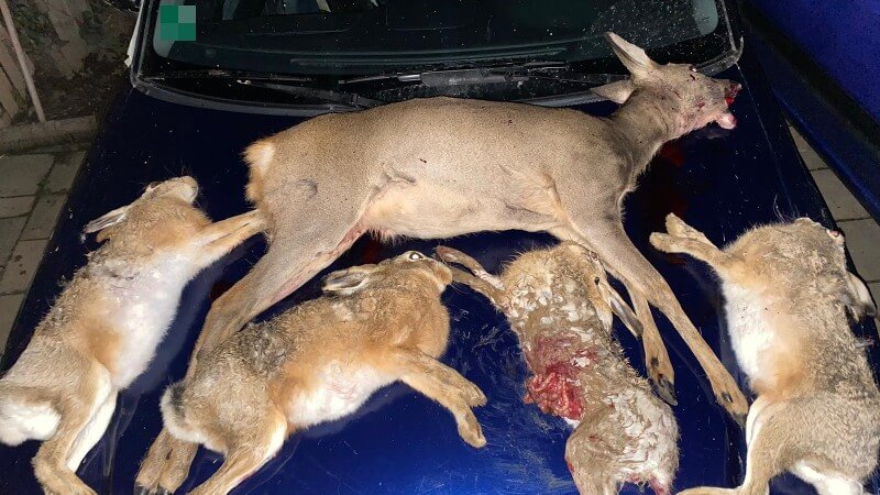 Stroper uit Heerlen opgepakt