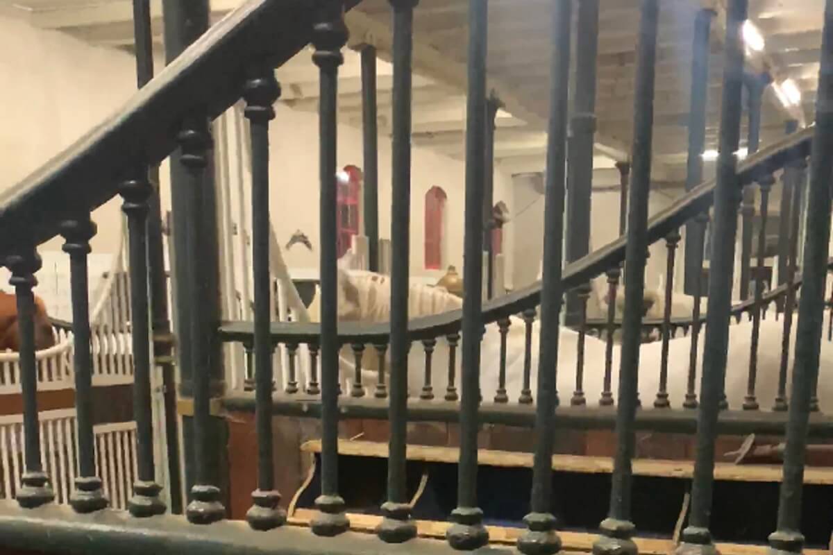 Paarden krijgen ongelooflijke kater van Hollandsche Manege