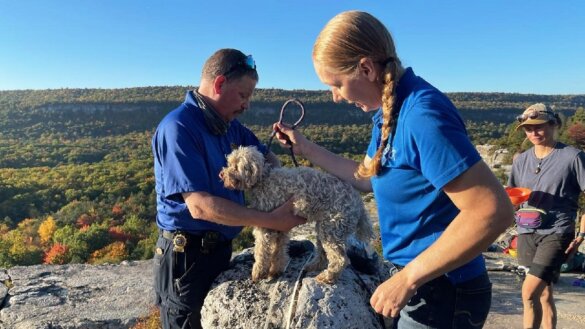 Hond na vijf dagen gered uit nauwe kloof