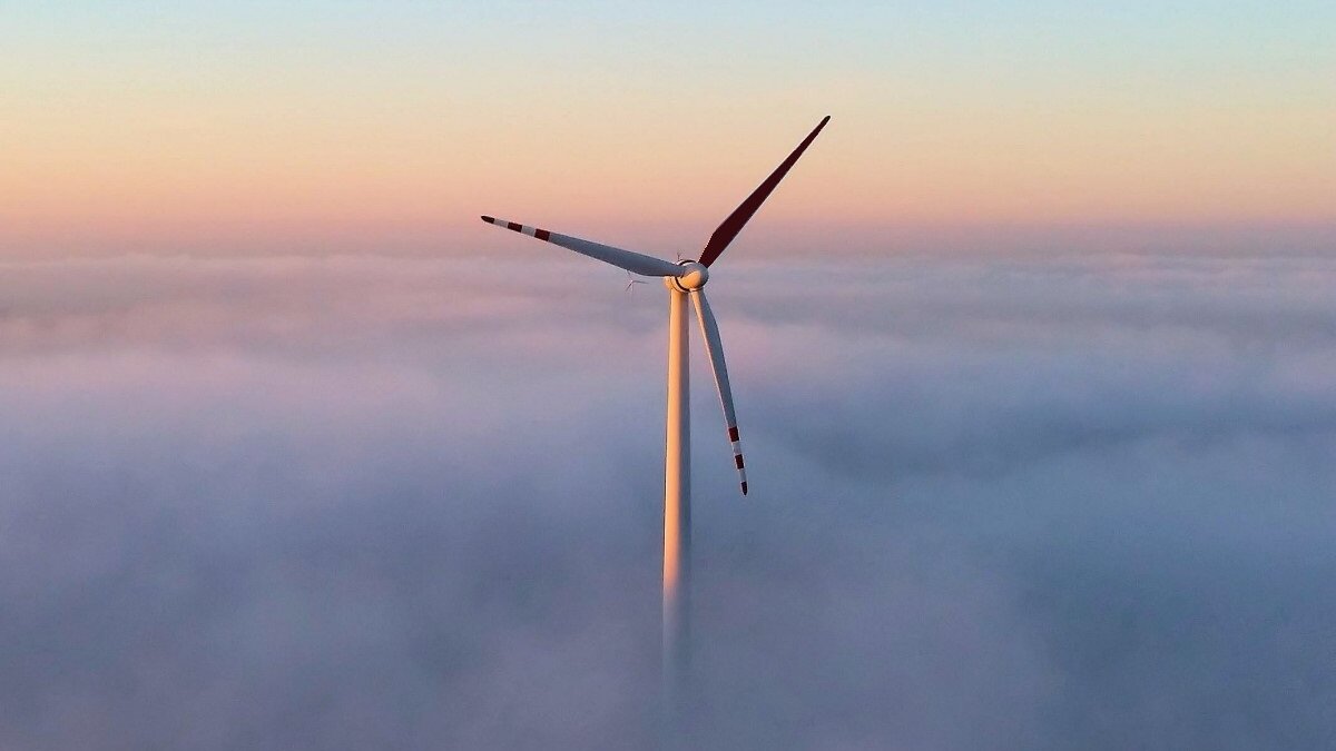 Zwarte wiek windmolen helpt echt tegen vogelaanvaringen