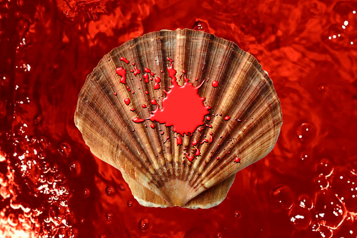 Seismisch onderzoek Shell Zuid-Afrikaanse kust bedreigt alle zeeleven