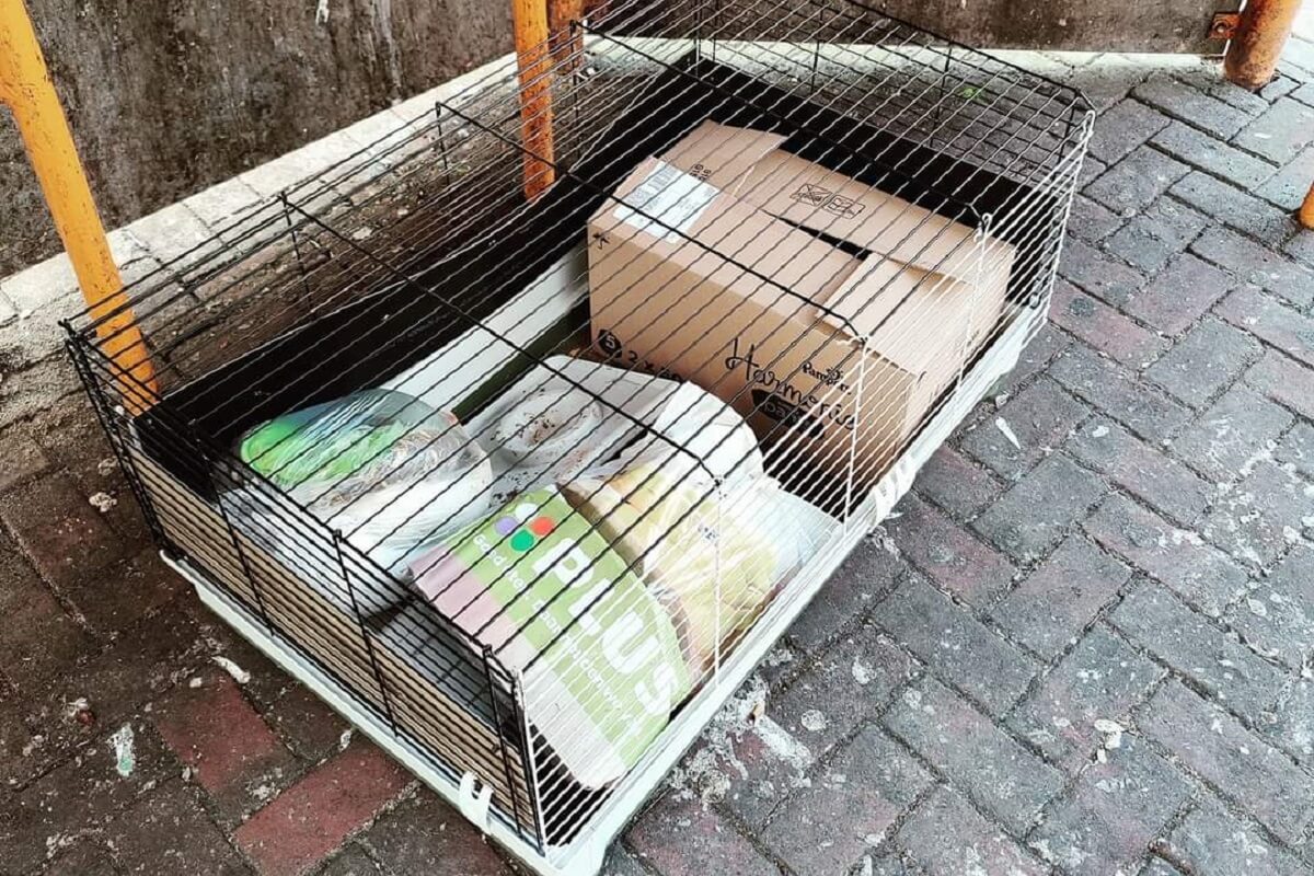 Wie dumpte cavia's bij afvalcontainer in Vleuterweide