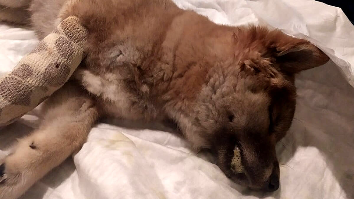 Jantina B. aangeklaagd