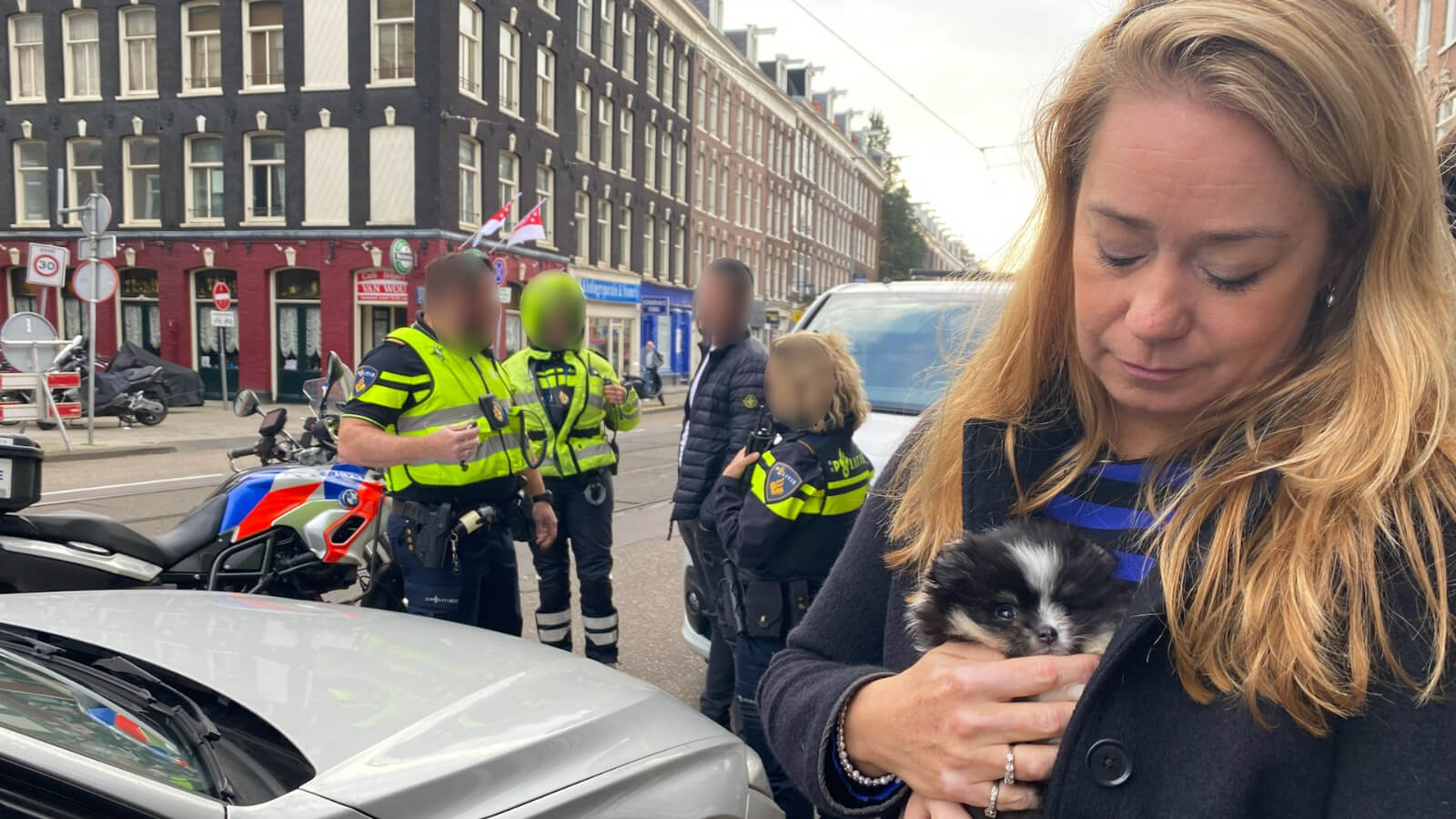 Illegale puppyhandelaar gepakt bij levering Pomeriaan