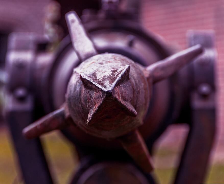 Noorwegen doodde 580 walvissen tijdens jachtseizoen