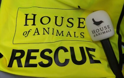 Dieren helpen in Oekraïne