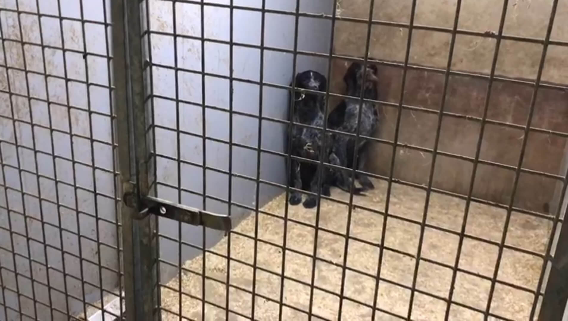 Horrorfokker Jan uit Eersel moet alle dwangsommen betalen