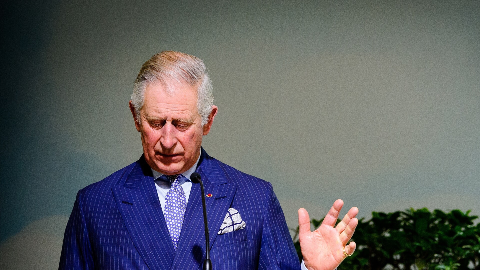 Koning Charles verbiedt foie gras in koninklijke residenties