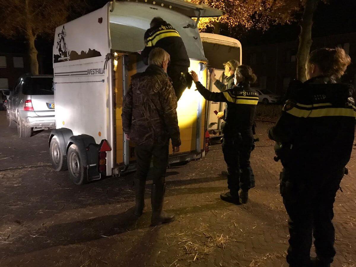 Dieren van Bert’s Animal Verhuur in beslag genomen in Arcen