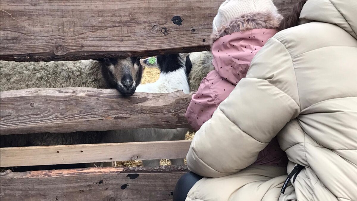 Zeg Bert wanneer stop je?