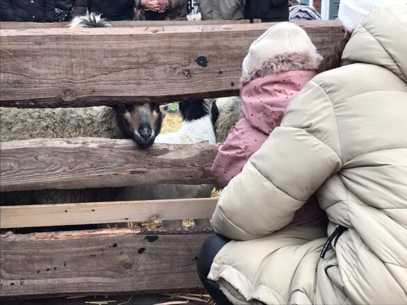 Zeg Bert wanneer stop je?