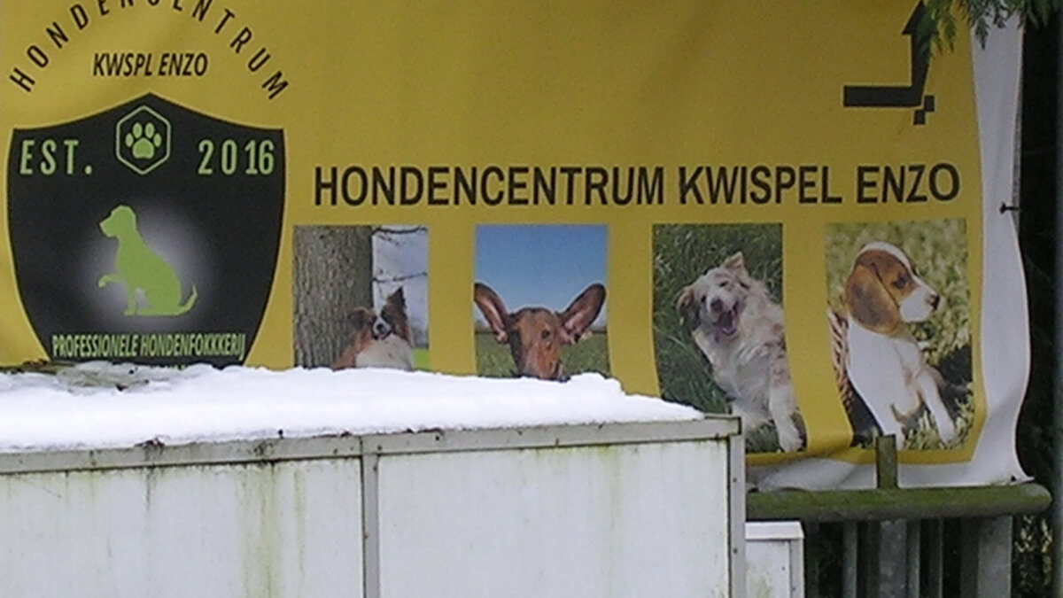 Karen’s blog NVWA je bent nog lang niet van ons af