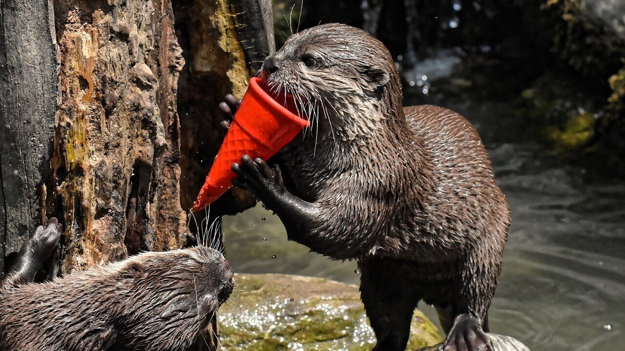 verdrag tegen plasticvervuiling