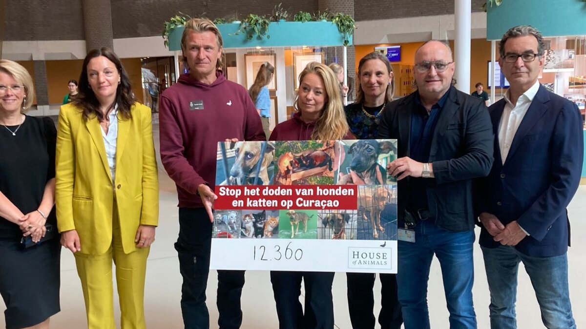 12.360 steunbetuigingen tegen doden zwerfdieren op Curaçao