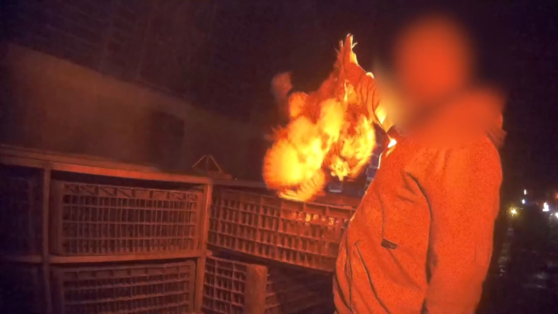 Wrede vangmethoden Britse legkippen