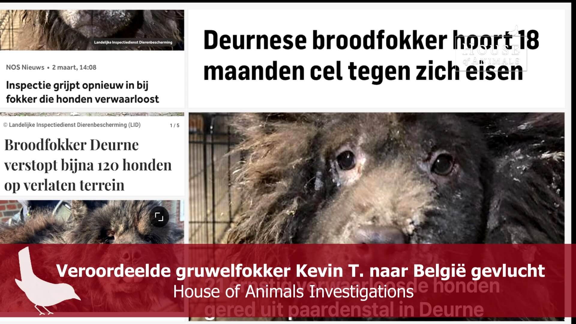 Veroordeelde gruwelfokker Kevin T. naar België gevlucht