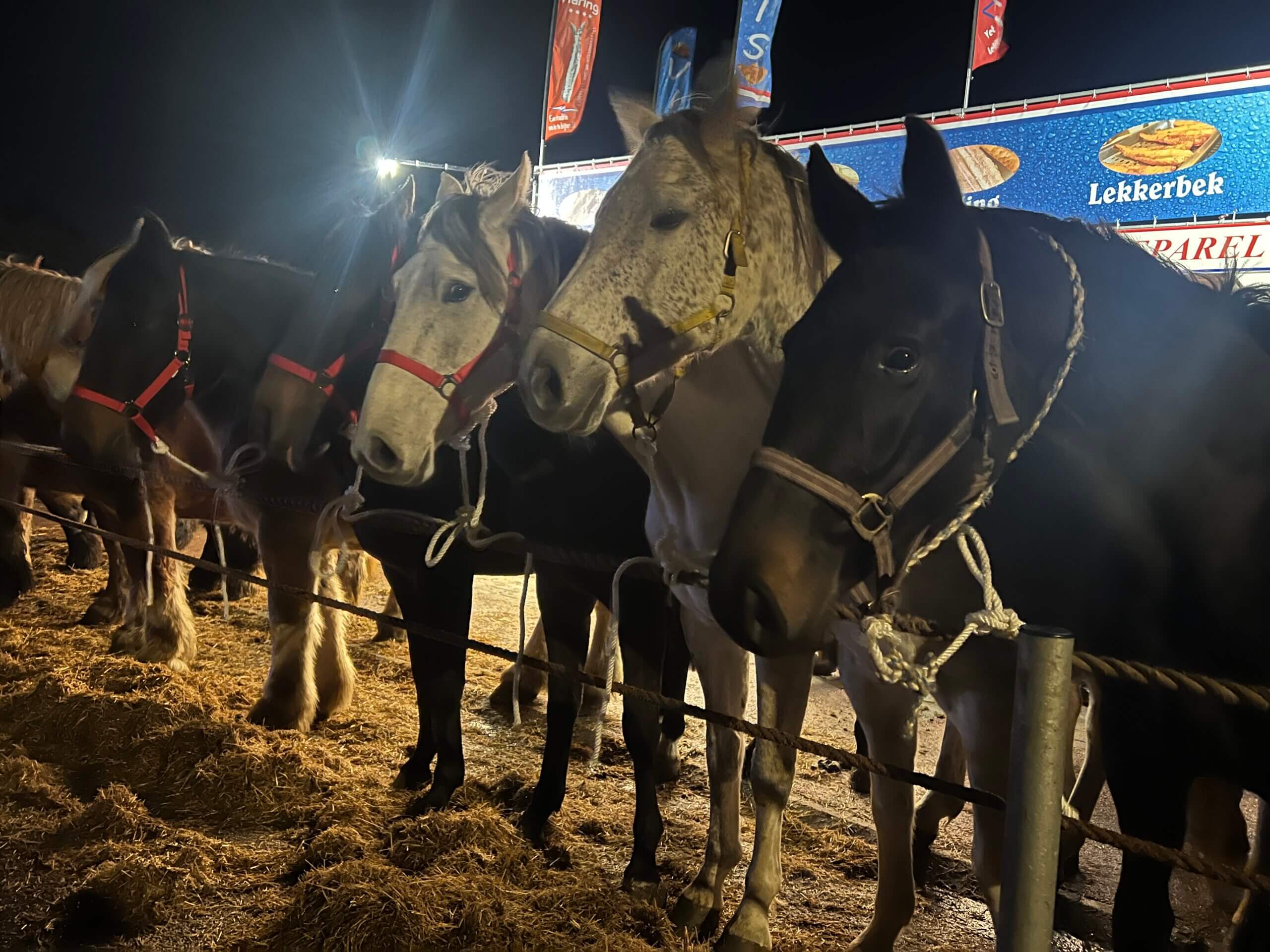 Traditie is prima, maar laat de dieren erbuiten