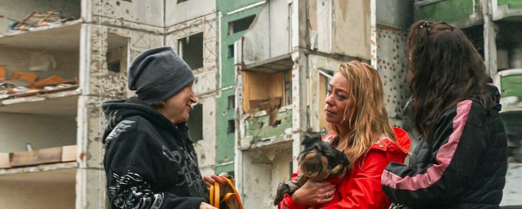 Kerstbrokken uit Nederland voor oorlogsdieren in Oekraïne