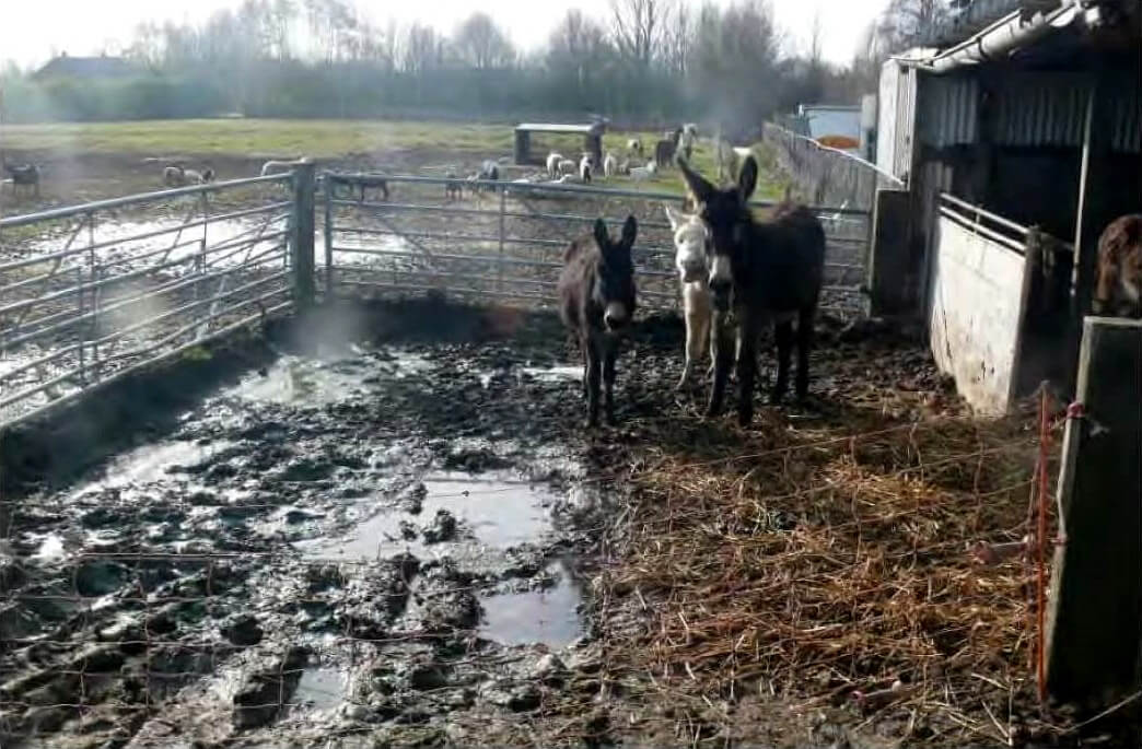 Rechtszaak tegen Bert alweer uitgesteld