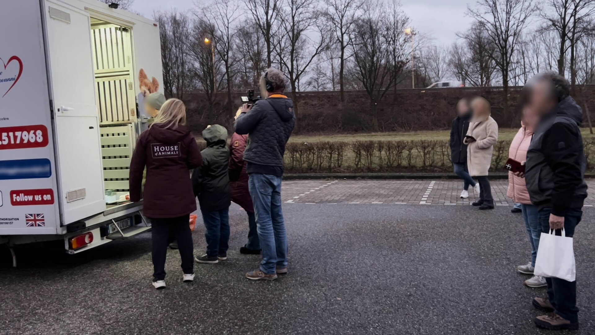 Pups voor Adoptie op parkeerplaats