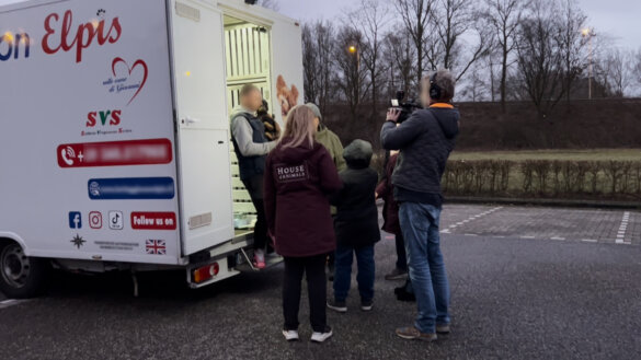 Zwerfpuppy’s uit Italië redden blijkt pure handel