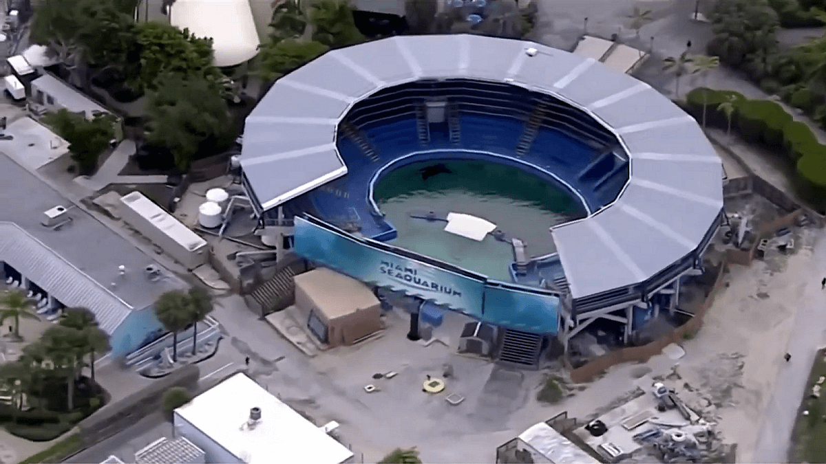 Miami Seaquarium moet sluiten door slechte verzorging dieren