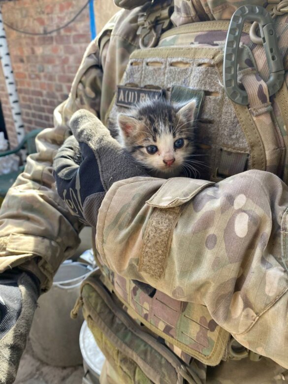 Oekraïense soldaten