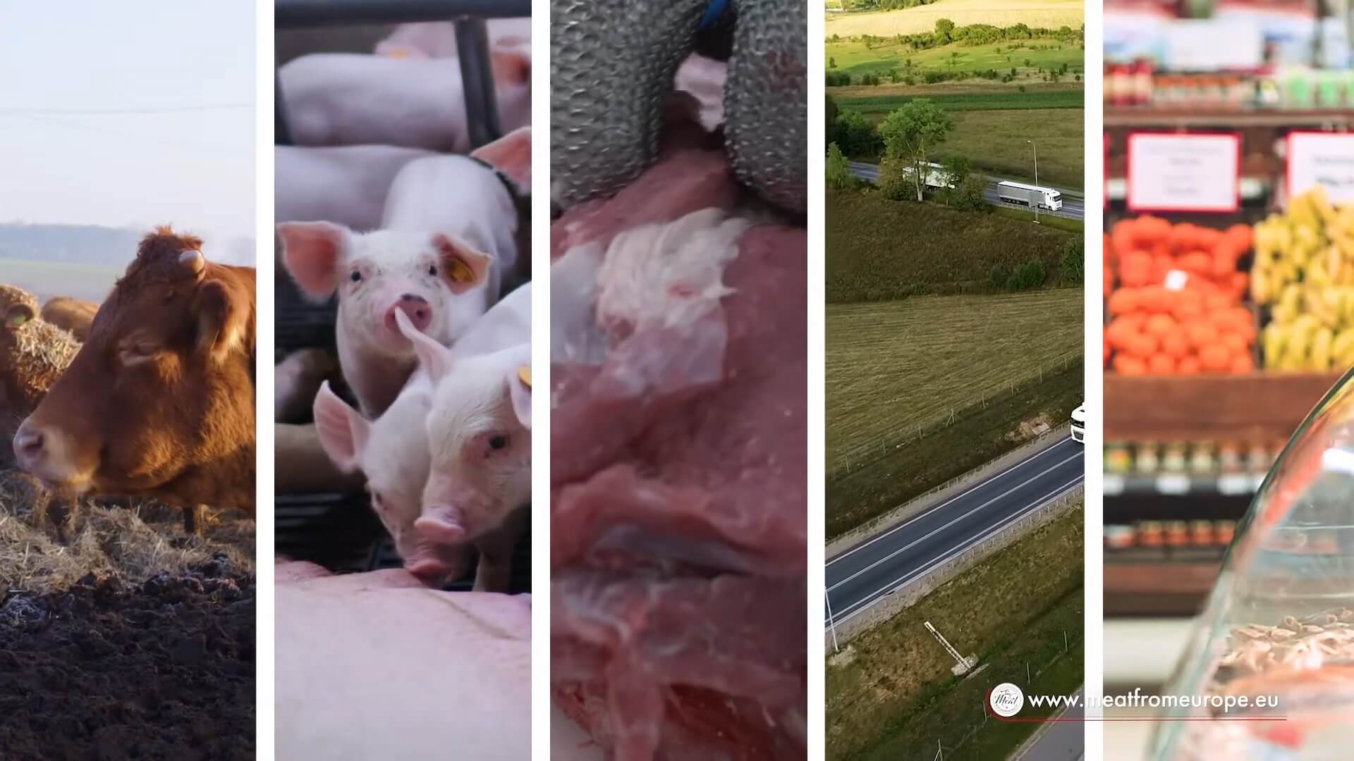 EU blijft volop subsidies pompen in de vlees- en zuivelindustrie