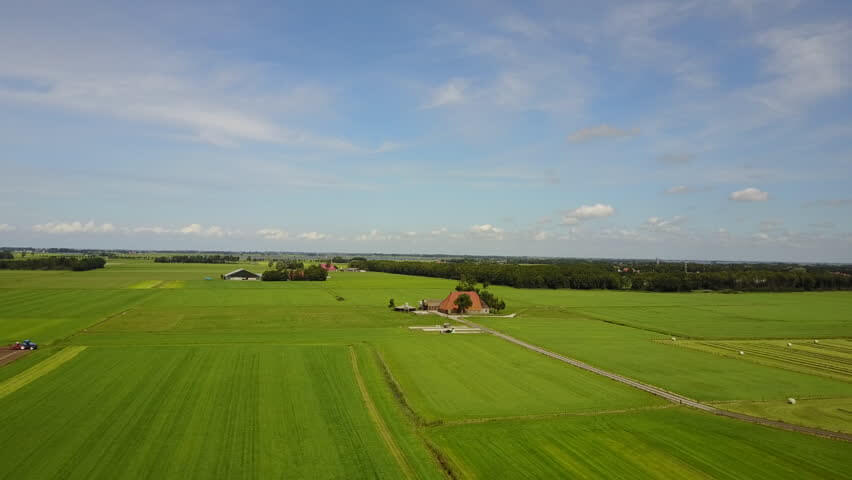 Friesland enige provincie waar katten worden afgeschoten