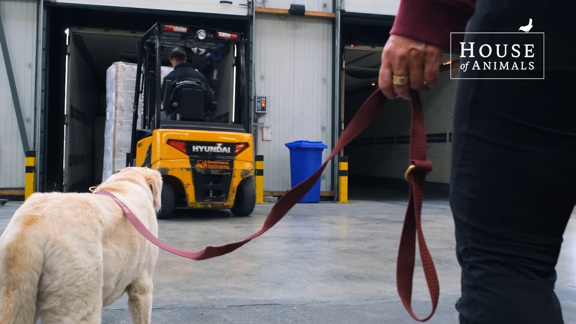 86.481 kilo brokken naar Oekraïne dankzij DierenLot