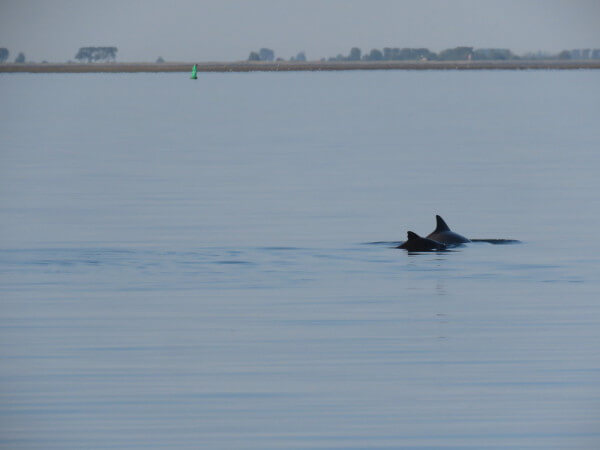Loretta en haar moeder