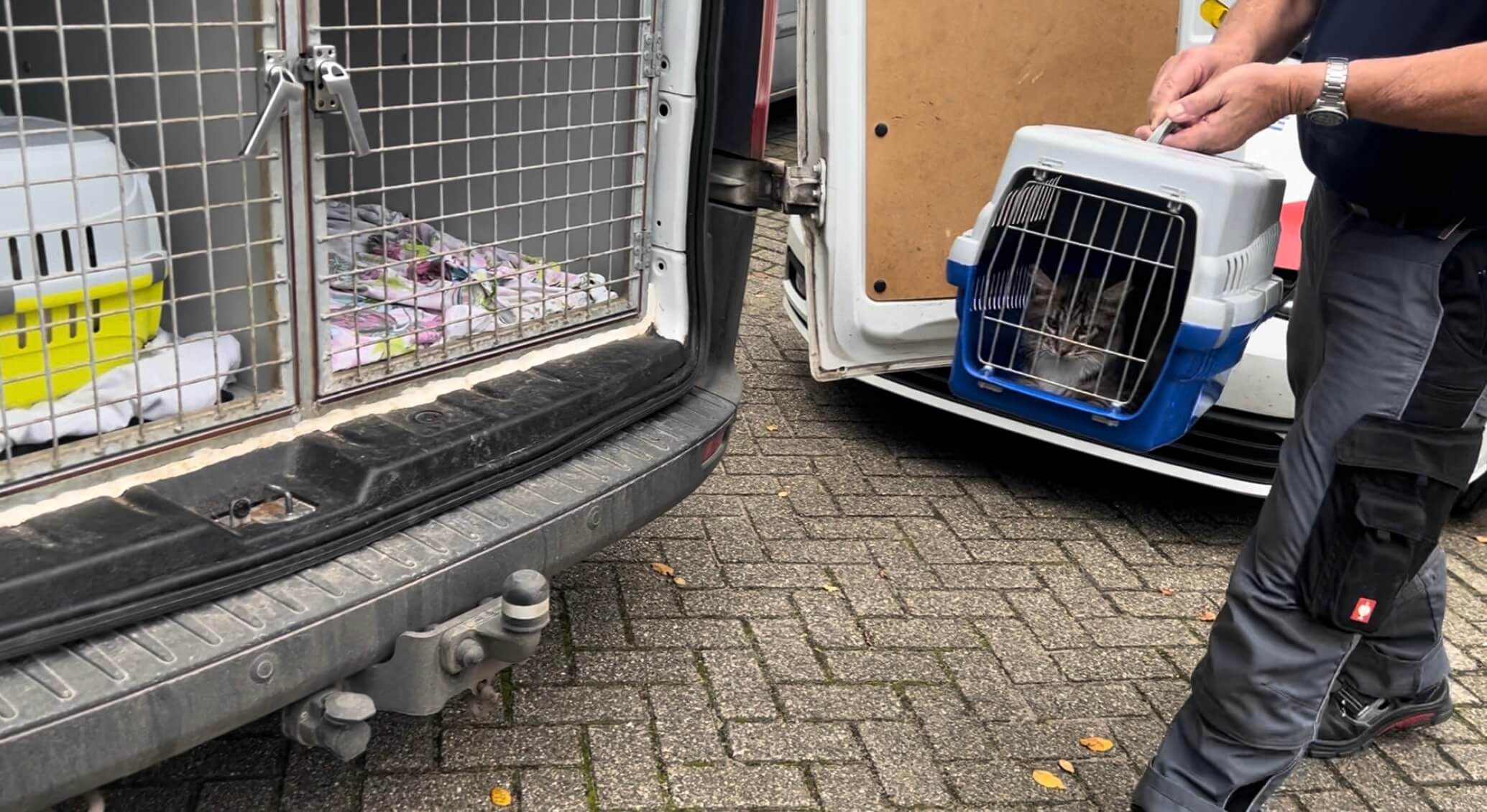 Kattenleed ondanks houdverbod niet genoeg voor celstraf